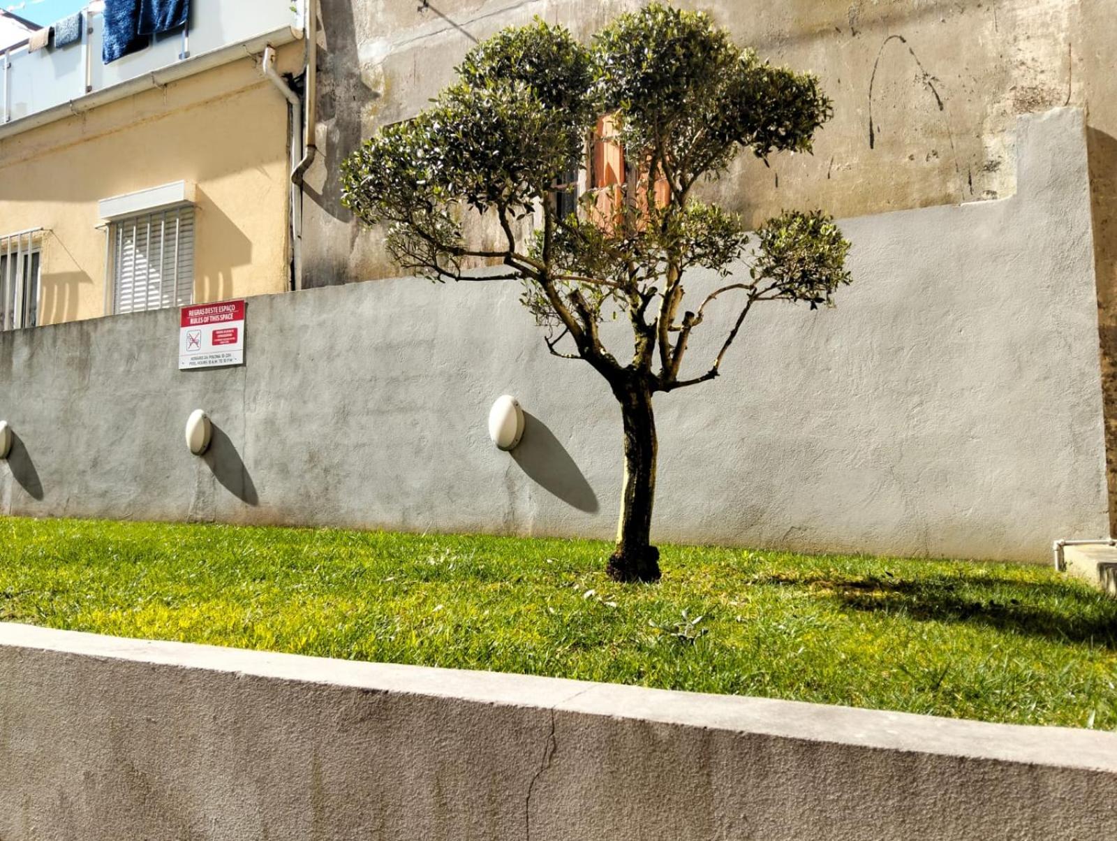 Douro By Your Side With Pool Vila Nova de Gaia Exterior photo